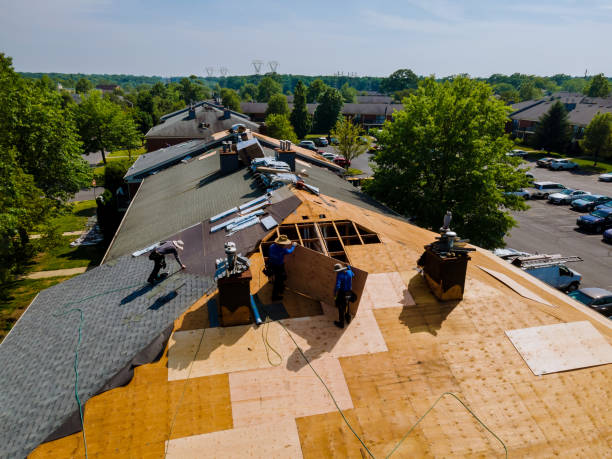 Best Storm Damage Roof Repair  in Winnsboro, TX